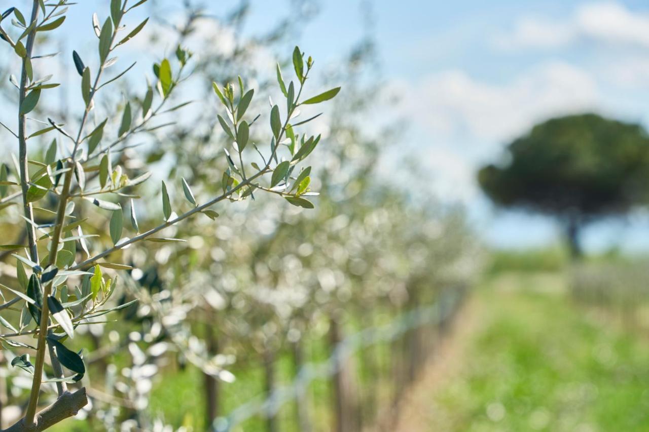 Agriturismo Borgonuovo Rimini Bagian luar foto